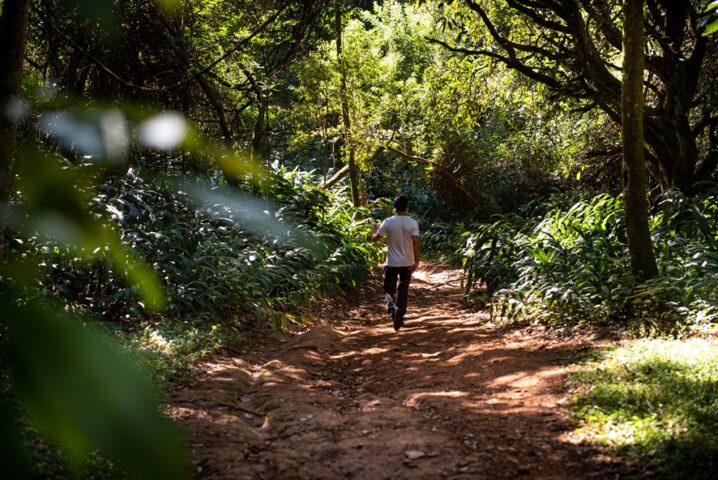 Trilhas ecológicas do Vale do Sereno
